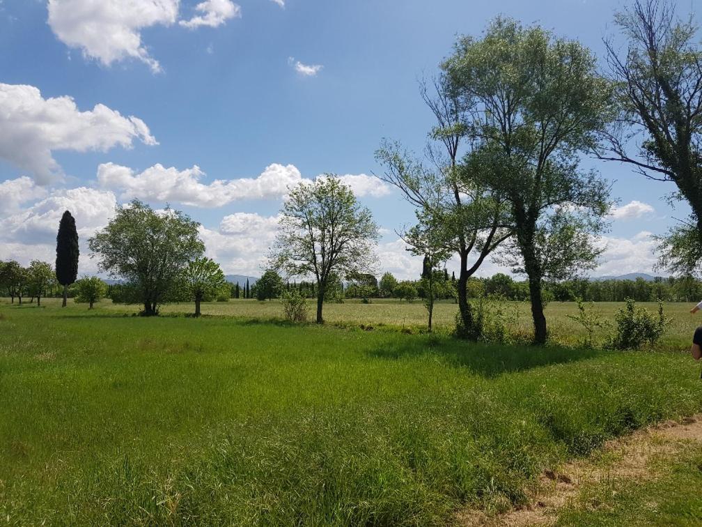 Podere Buriano Arezzo Esterno foto